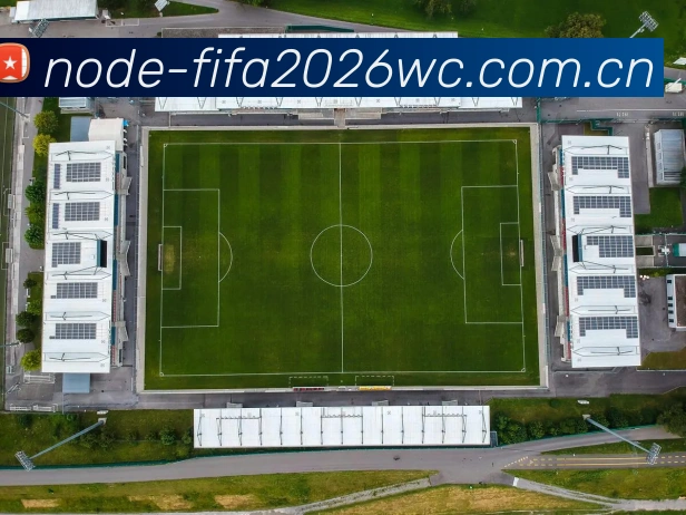 2026世界杯官方数据面板